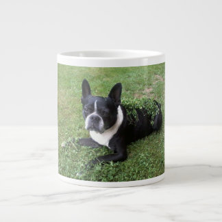 De Café Grande caneca gigante boston terrier