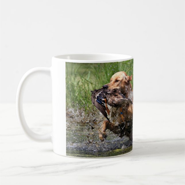 De Café Labrador retriever amarelo com caneca do pato (Esquerda)