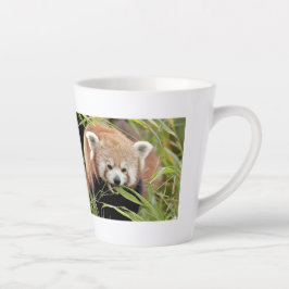 De Café Latte caneca latina Foto vermelha panda, animais. caneca