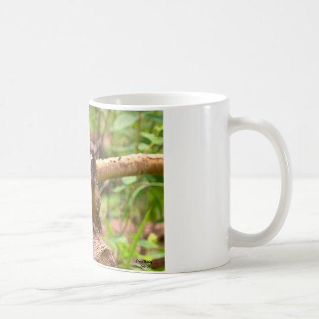 De Café O bebê viu para whet a caneca das corujas (Direita)