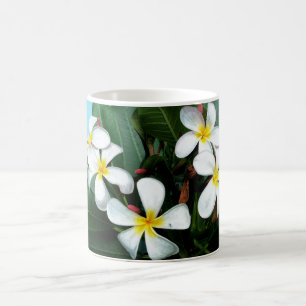 De Café O Plumeria havaiano floresce a caneca