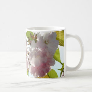 De Café O primavera cor-de-rosa floresce a caneca