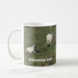 De Café Os charolês acobardam-se e a caneca das vitelas