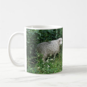 De Café Ovino Bastante Branco Flofilizado, Comendo Caneca