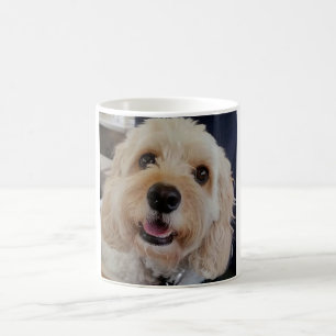 De Café PhoebethePrincess Cavapoo em uma caneca branca
