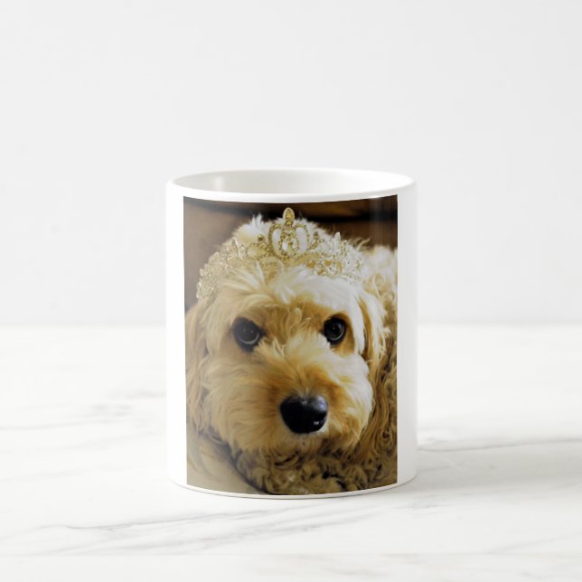 De Café PhoebethePrincess, Cavapoo na caneca branca (Centro)