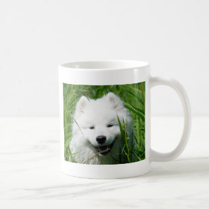 De Café Samoyed na caneca da grama