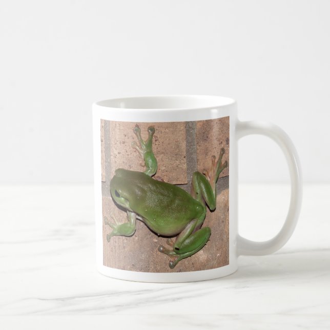 De Café SAPO na caneca da parede (Direita)