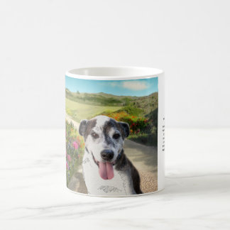 De Café Torta em um campo das dálias (cão na caneca do