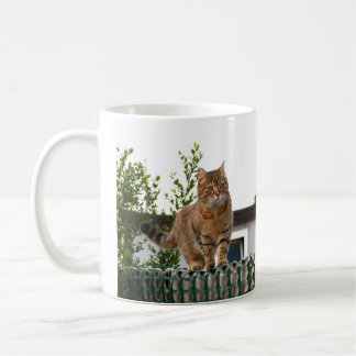 De Café um gato em uma caneca