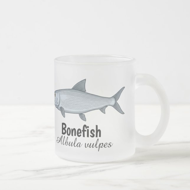 De Café Vidro Jateado Caneca Bonefish Frosted da SciPerspective (Direita)