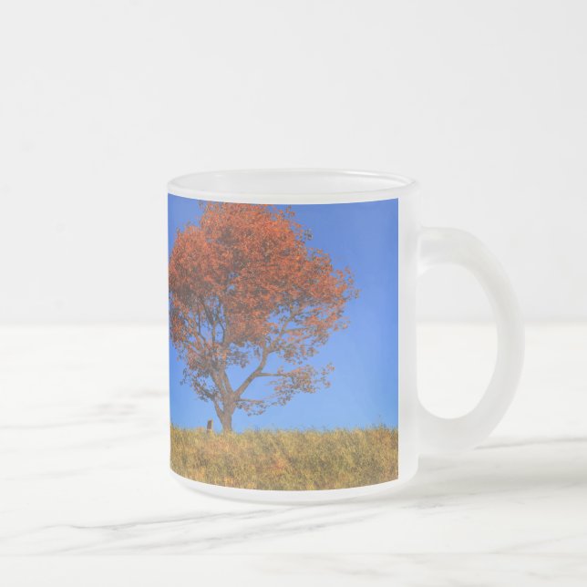 De Café Vidro Jateado Limpar a caneca do outono (Direita)