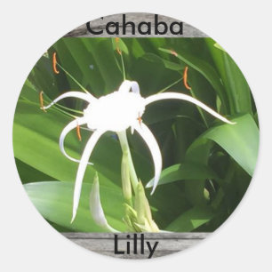 De Cahaba etiqueta da flor lilly