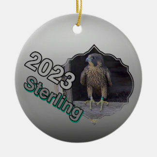 De Cerâmica 2023 Ornamento do Círculo Cerâmico