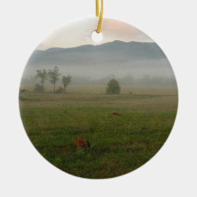 De Cerâmica 3:5 dos provérbio - ornamento 6 (Frente)