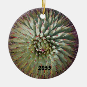 De Cerâmica A agave crava o ornamento