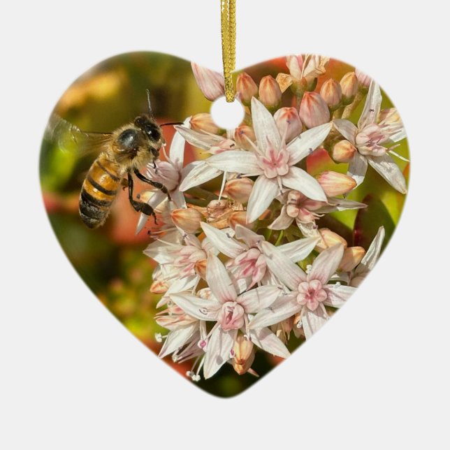 De Cerâmica Abelha, Ornamento (Frente)