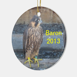 De Cerâmica Baron 2013 Ornamento