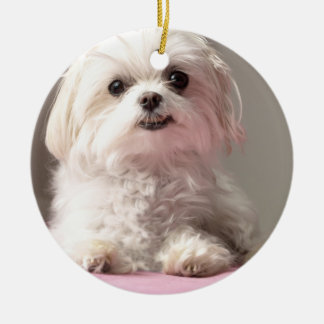 De Cerâmica Bella deixou-nos ir vê o ornamento maltês