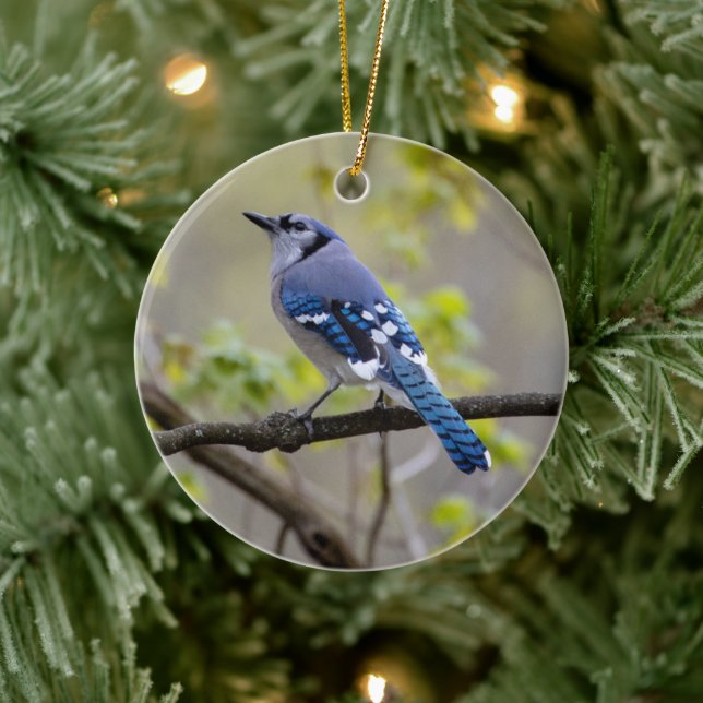 De Cerâmica Blue Jay | Ornamento cerâmico (Árvore)