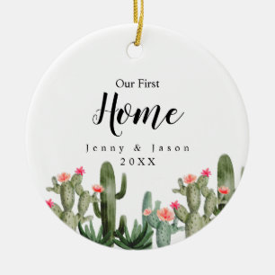 De Cerâmica Cactus Floral Nosso Primeiro Ornamento Botânico D