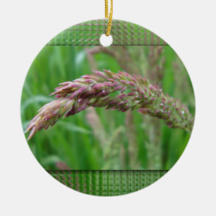 De Cerâmica Como a grama cultiva o ornamento