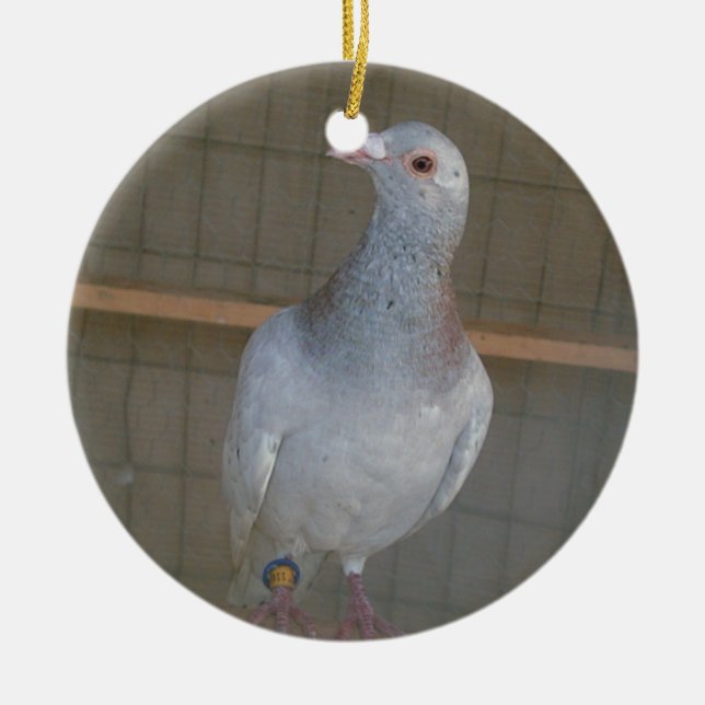 De Cerâmica Competindo o ornamento do local (Frente)