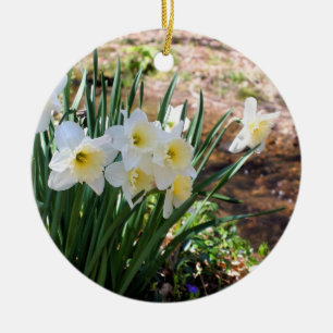 De Cerâmica Daffodils pelo ornamento da flor do ribeiro