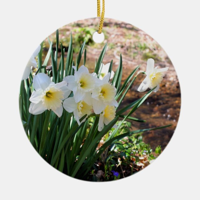 De Cerâmica Daffodils pelo ornamento da flor do ribeiro (Frente)