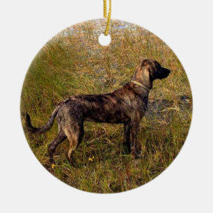 De Cerâmica Do Ornamento Personalizado do Cão
