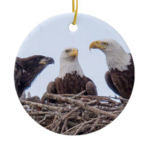 E9 & ornamento do feriado da família