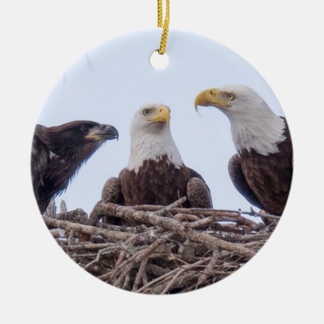 De Cerâmica E9 & ornamento do feriado da família (Frente)