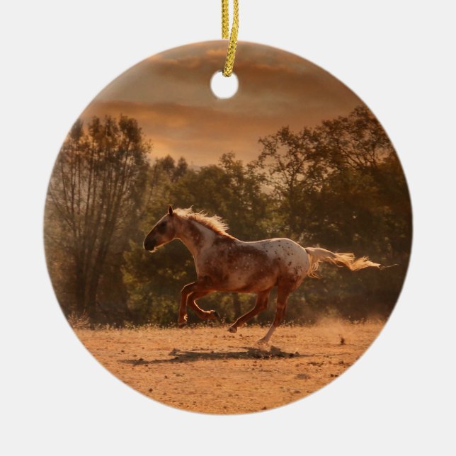 De Cerâmica Executando Ornamento Appaloosa (Frente)