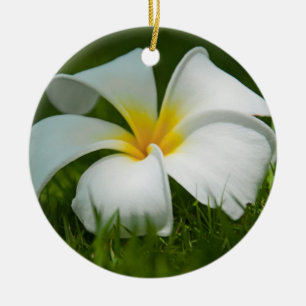 De Cerâmica Fim-Acima bonito das flores - ornamento