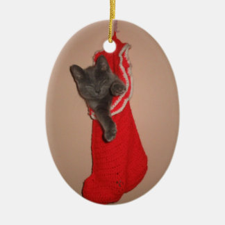 De Cerâmica Gatinho em um ornamento da meia