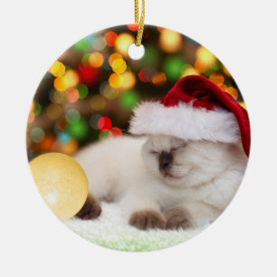 De Cerâmica Gatinho Siamese: Ornamento Dourado