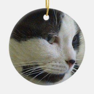 De Cerâmica Gato Preto e Branco Sobre Ornamento Cerâmico