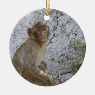 De Cerâmica Gibraltar Monkeys o ornamento