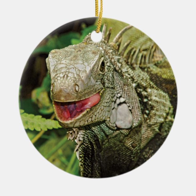 De Cerâmica Iguanas que penduram ornamento do presente (Frente)