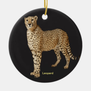 De Cerâmica Imagem Leopardo para Ornamento Círculo
