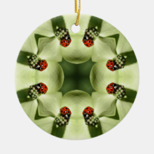 De Cerâmica Ladybug Kaleidoscope Natureza Ornamento