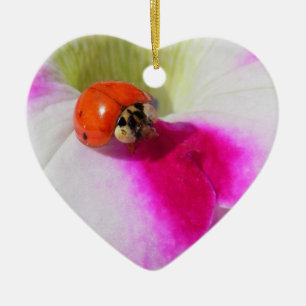 De Cerâmica Ladybug na petúnia - ornamento