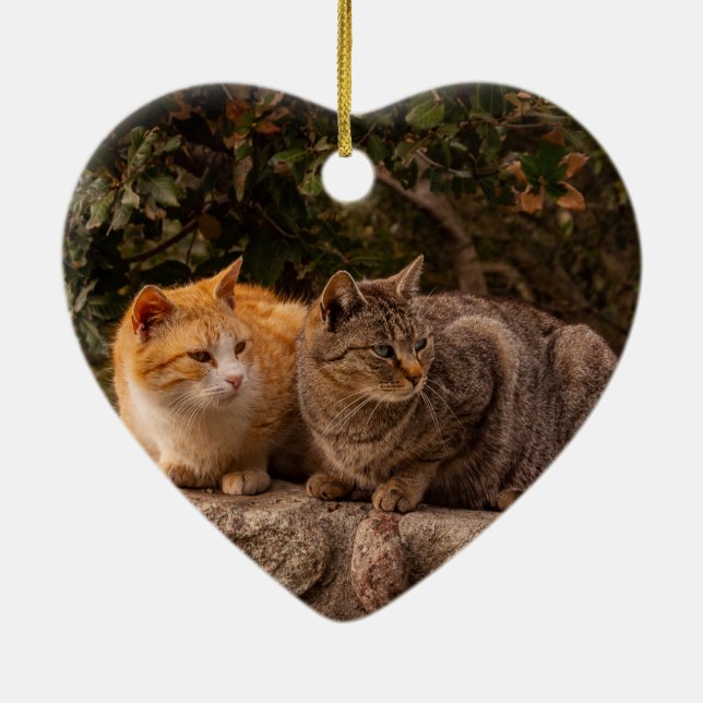 De Cerâmica Lindos Gatos, Ornamento (Verso)
