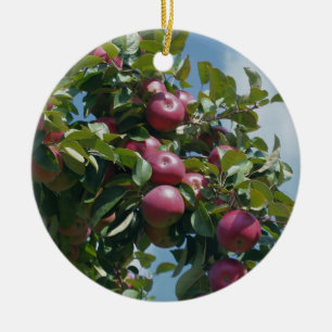 De Cerâmica Maçãs vermelhas no ornamento da natureza da árv