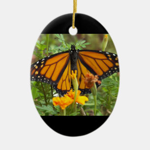 De Cerâmica Meu ornamento Monarch Butterfly-oval