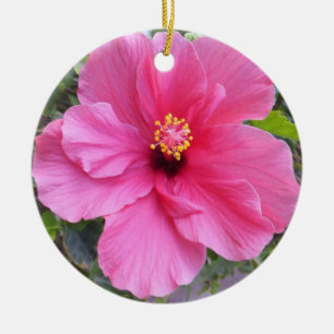 De Cerâmica O ornamento cor-de-rosa do hibiscus, personaliza