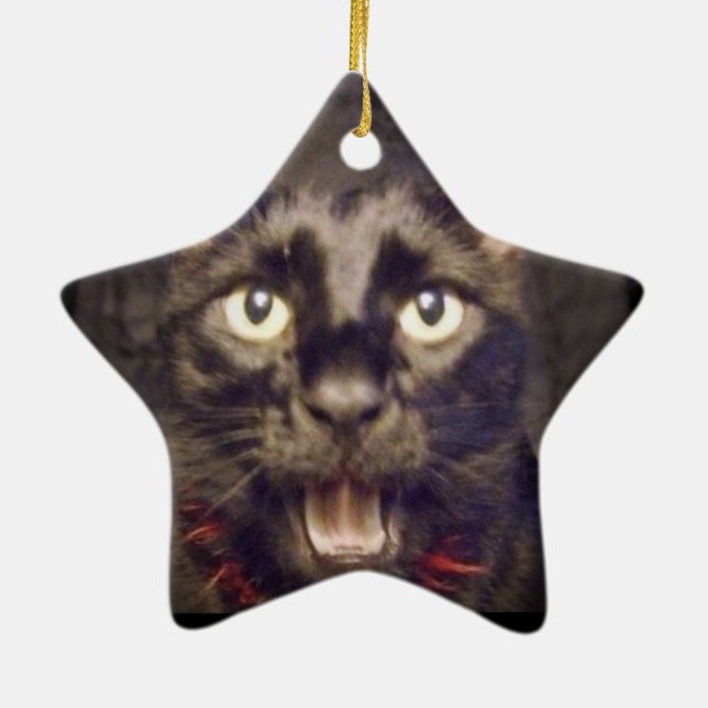 De Cerâmica O ornamento o mais considerável da estrela (Verso)