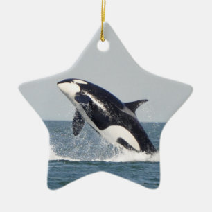 De Cerâmica Ornamento 2 da ruptura da orca