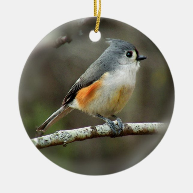 De Cerâmica Ornamento adornado do Titmouse (Frente)