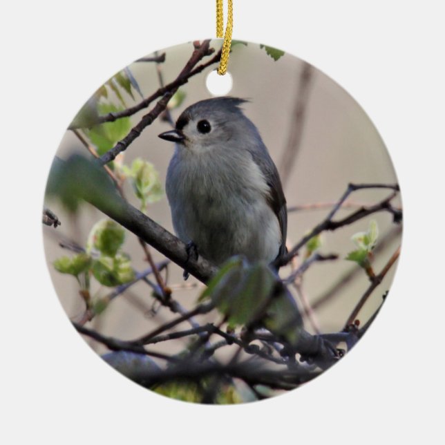 De Cerâmica Ornamento adornado do Titmouse (Frente)